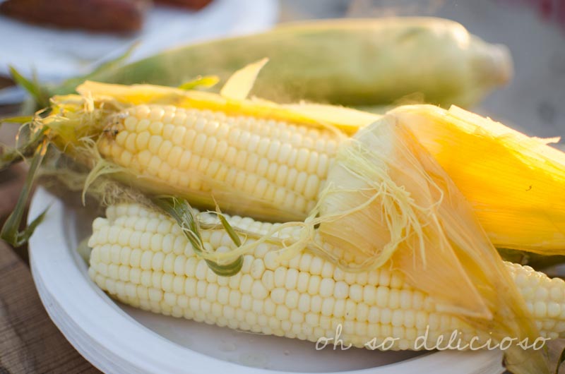 Corn on the cob sitting on a white plate
